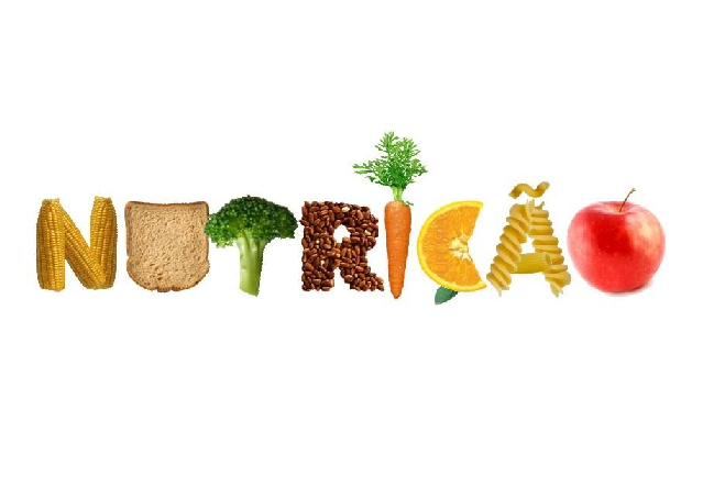 Artigo sobre nutricao