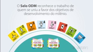 Pelo 4º ano consecutivo, o Instituto Unidos Pela Vida recebe o Selo de Instituição Parceira dos Objetivos do Milênio!